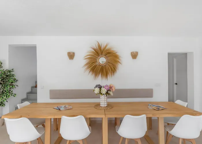 Mida 托雷维耶哈