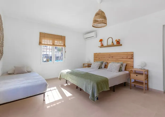 Mida * 托雷维耶哈