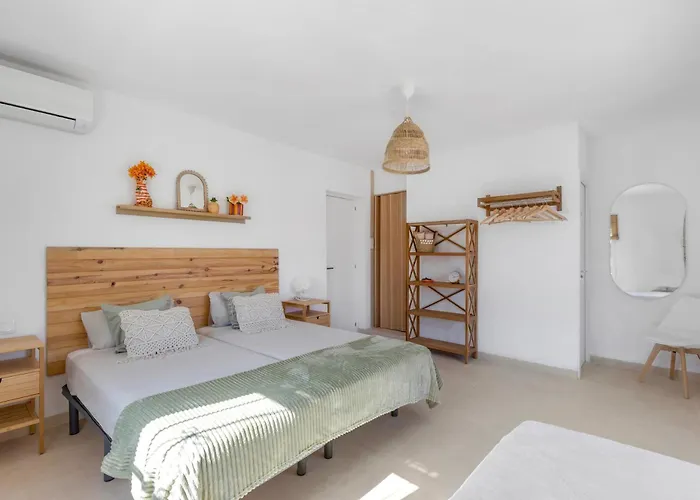 Mida 托雷维耶哈